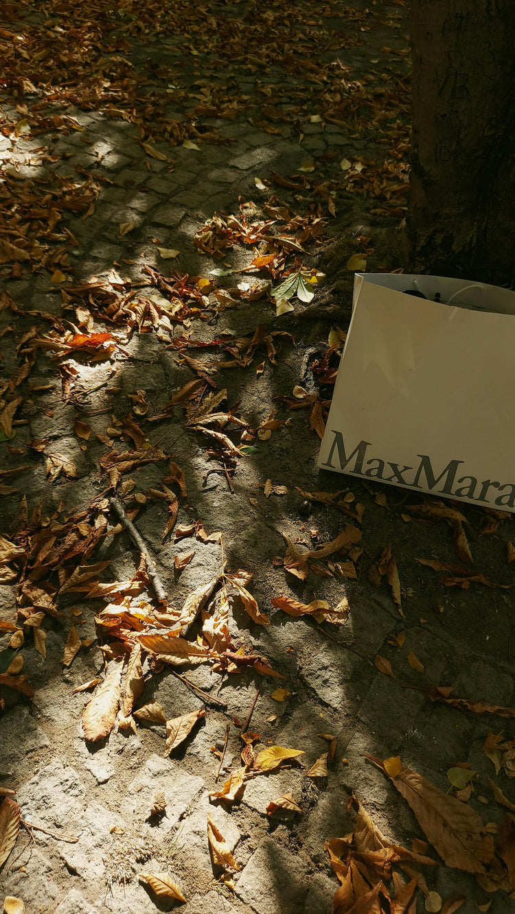 Max Mara Products